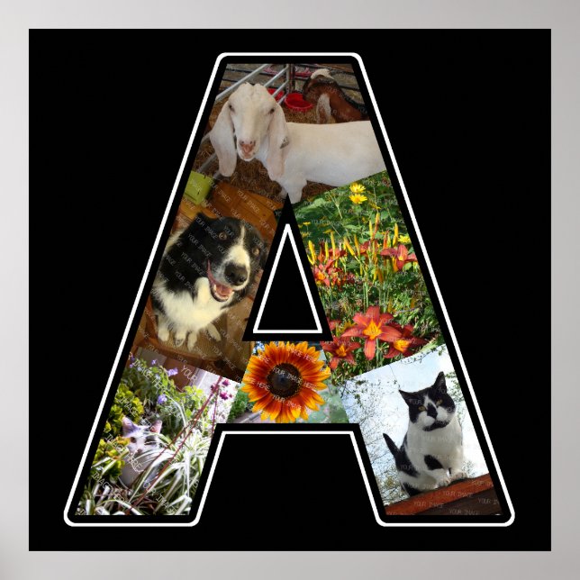 A Monogram Create Your Own 6 Photo Collage Black Poster (Front)