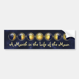 A Month in the Life of the Moon Bumper Sticker