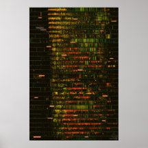 A Month of Yellowstone Sounds