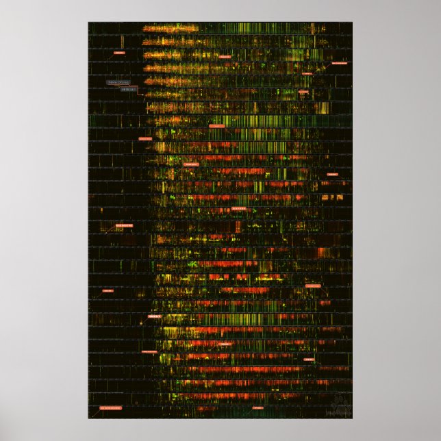 A Month of Yellowstone Sounds Poster (Front)