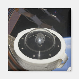 A moon rock 3 magnet