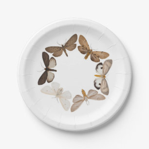 A moth plate