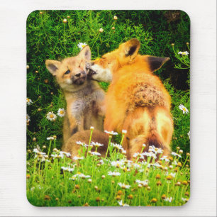 A Mother’s Kiss Wildlife Nature Art Print Mouse Pad