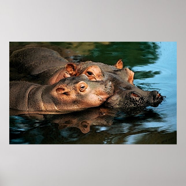 A Mother's Care Hippopotamus Portrait Poster (Front)