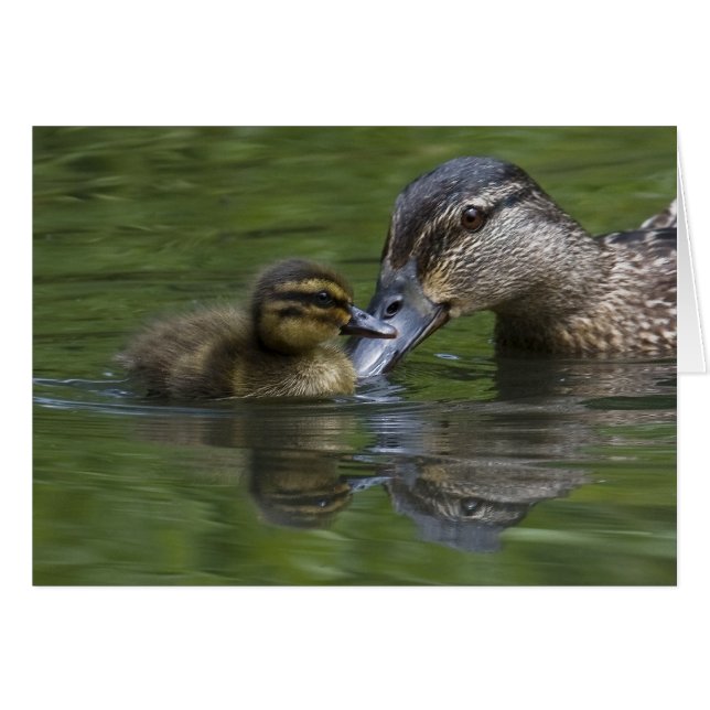 A Mother's Love (Front Horizontal)