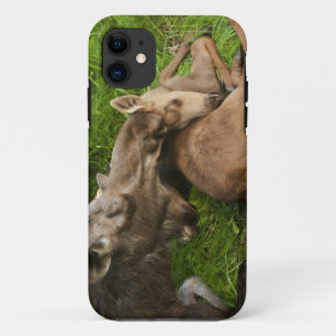 A Mother's Love iPhone 11 Case