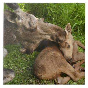 A Mother's Love Ceramic Tile