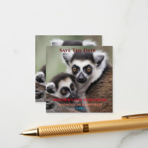 **"A Mother's Love: Mummy and Baby Lemur Cuddling" Enclosure Card