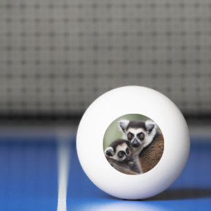 **"A Mother's Love: Mummy and Baby Lemur Cuddling" Ping Pong Ball