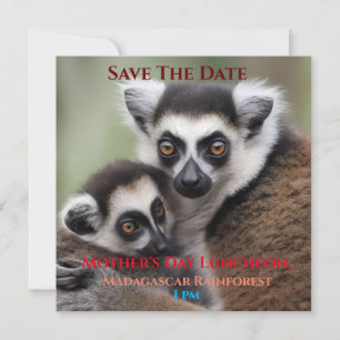**"A Mother's Love: Mummy and Baby Lemur Cuddling" Save The Date