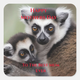 **"A Mother's Love: Mummy and Baby Lemur Cuddling" Square Sticker