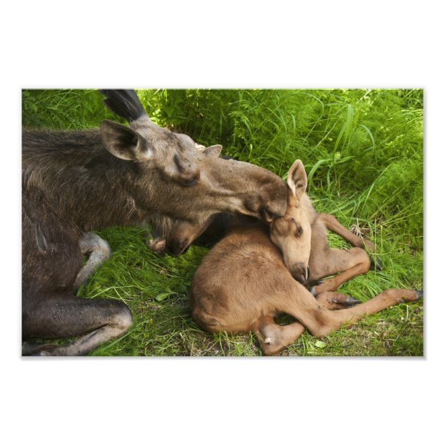 A Mother's Love Photo Print (Front)