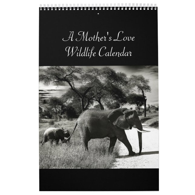 A Mother's Love Wildlife Calendar (Cover)