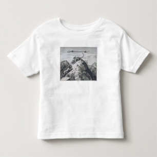 A Mountain in the Jiangxi Province with Crags Know Toddler T-Shirt