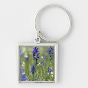A mountain meadow of wildflowers including key ring