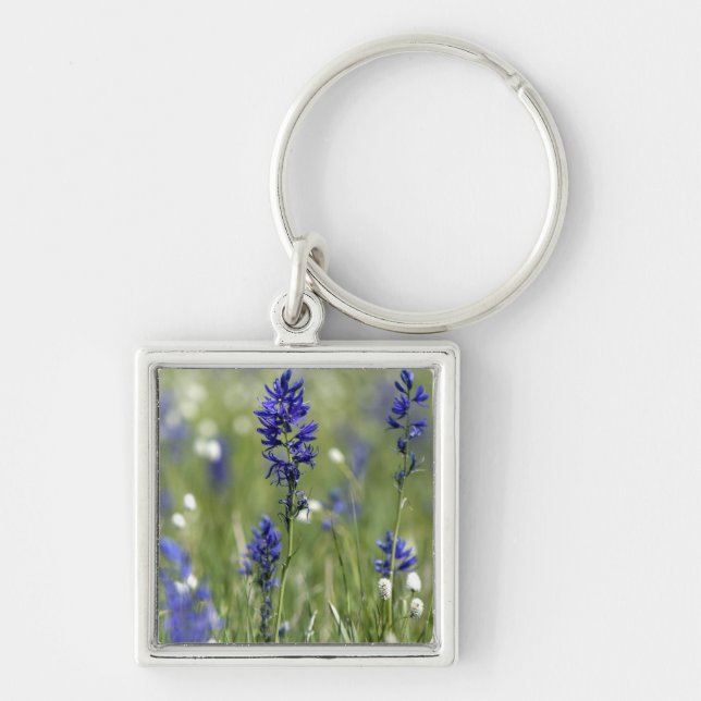 A mountain meadow of wildflowers including key ring (Front)