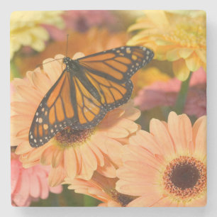 A Mourning Cloak Butterfly Stone Coaster