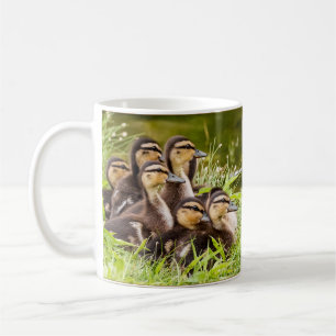 A Mug of Ducklings