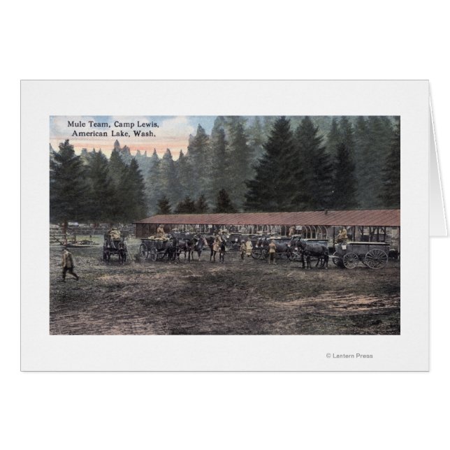 A Mule Team at Camp Lewis (Front Horizontal)