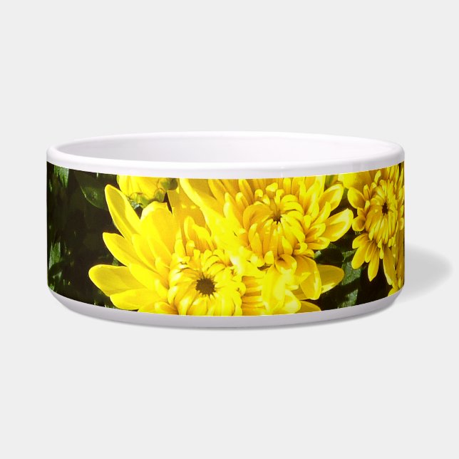 A Multitude of Yellow Mums (Front)