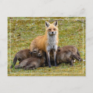 A Mum's Day Postcard