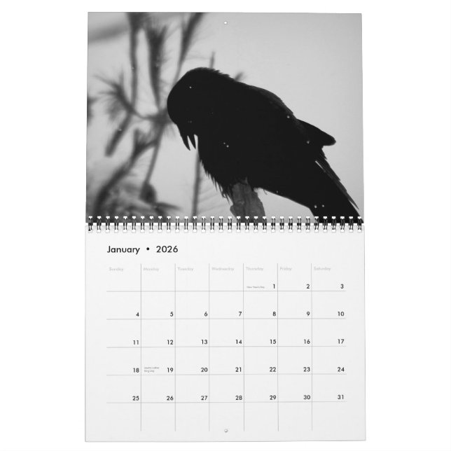 A Murder of Crows Calendar 2015 (Jan 2026)