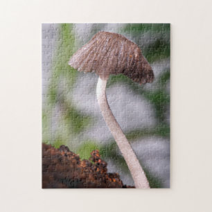 A Mushroom Jigsaw Puzzle