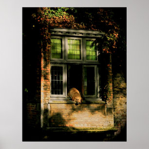 A nap in the sun II Poster