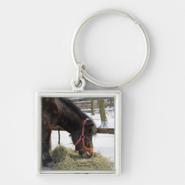 A native horse originally from Gotland where Key Ring (Front)
