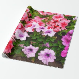 A nature photo is a beautiful petunia flower. Plan Wrapping Paper