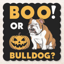 A naughty bulldog celebrates Halloween