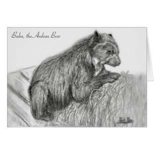 A. Neuman Sketch Card