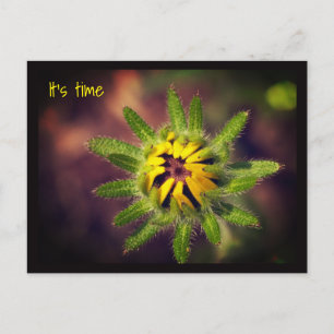 A new beginning postcard