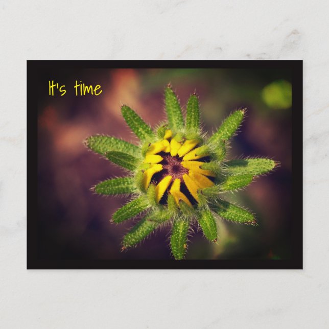 A new beginning postcard (Front)