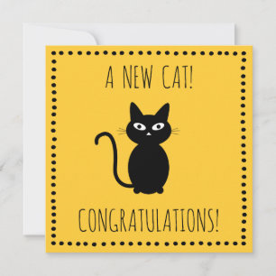 A New Cat! - Greeting Card