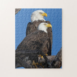 A New Couple in the Nest- M15 & F23 Jigsaw Puzzle