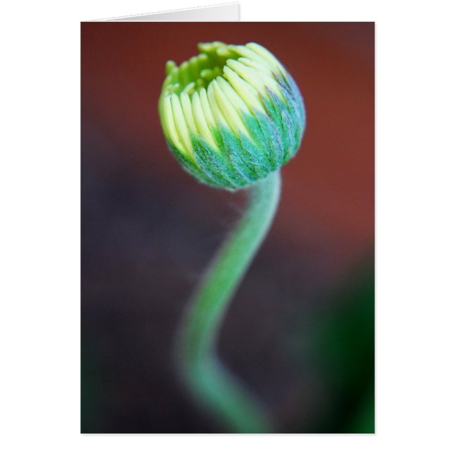 A New Season (Front)