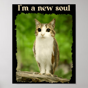 A New Soul Cat Cute Owl Cat Hybrid Funny Animal Poster