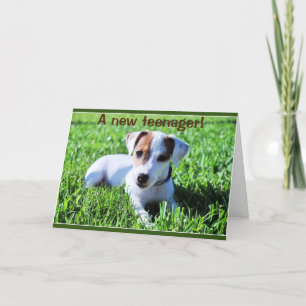 A NEW TEENAGER TURNS ***13***  CARD