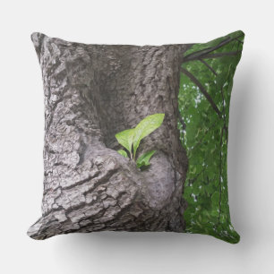 A new twig cushion