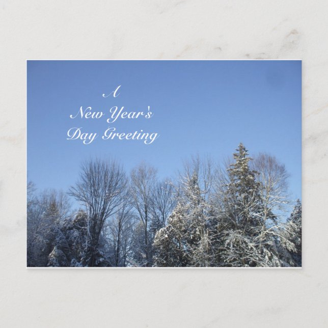 A New Year's Day Greeting Holiday Postcard (Front)