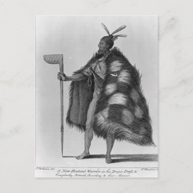 A New Zealand warrior Postcard (Front)