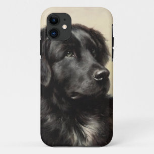 A Newfoundland iPhone 5 Case