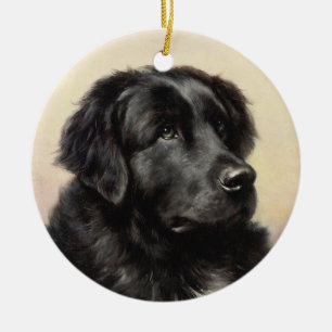 A Newfoundland Ornament
