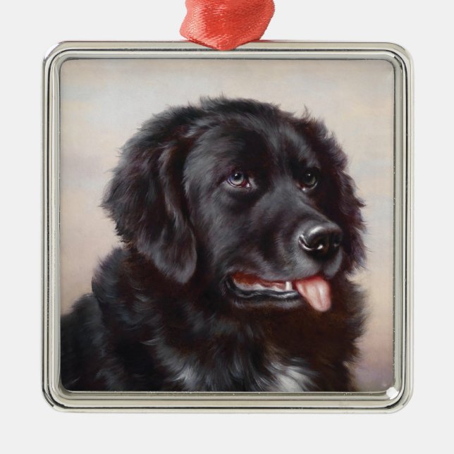 A Newfoundlander Ornament (Front)