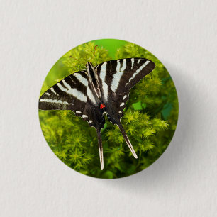 A North American Swallowtail Butterfly 3 Cm Round Badge