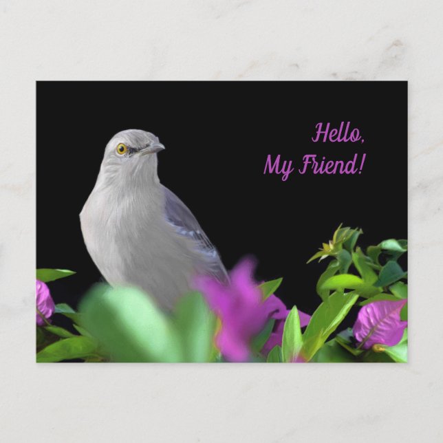 A Northern Mocking Bird with Purple & Green Leaves Postcard (Front)