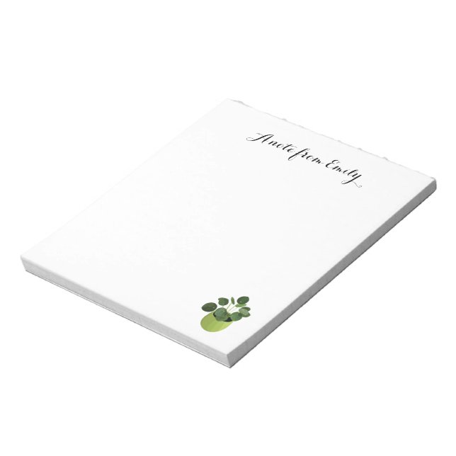 A Note From Pilea Peperomioides (Rotated)