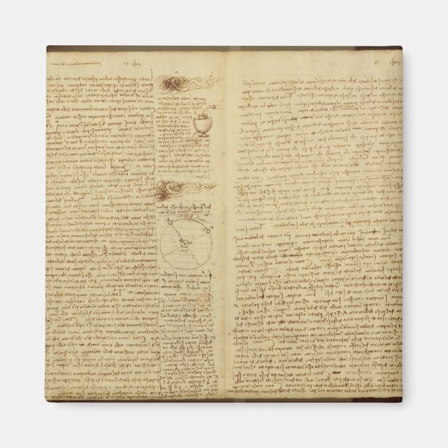 A page from the Codex Leicester, 1508-12 Magnet (Front)