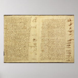 A page from the Codex Leicester, 1508-12 Poster